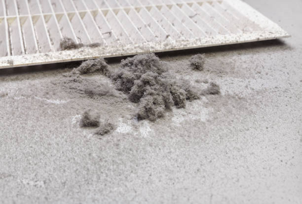 Best Air Duct Cleaning Near Me  in Kentland, IN