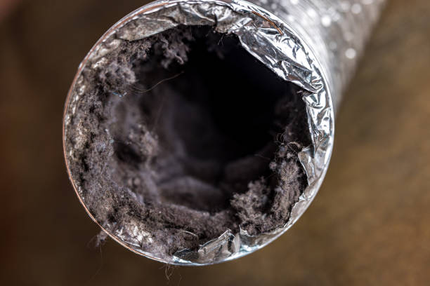 Best Professional Duct Cleaning Services  in Kentland, IN